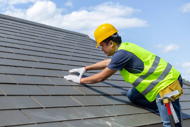 Best Roof Gutter Cleaning  in Millington, TN