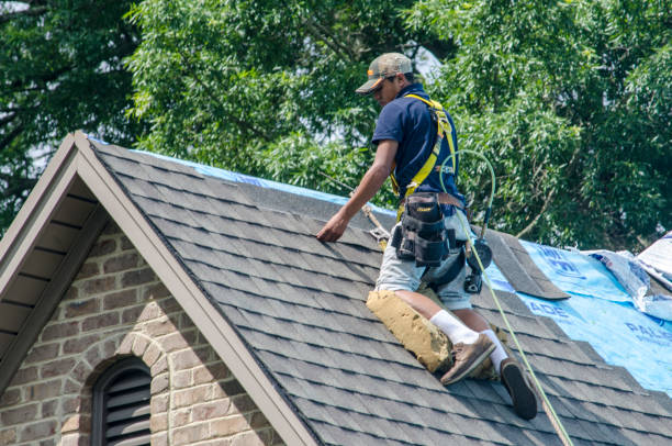 Best Storm Damage Roof Repair  in Millington, TN